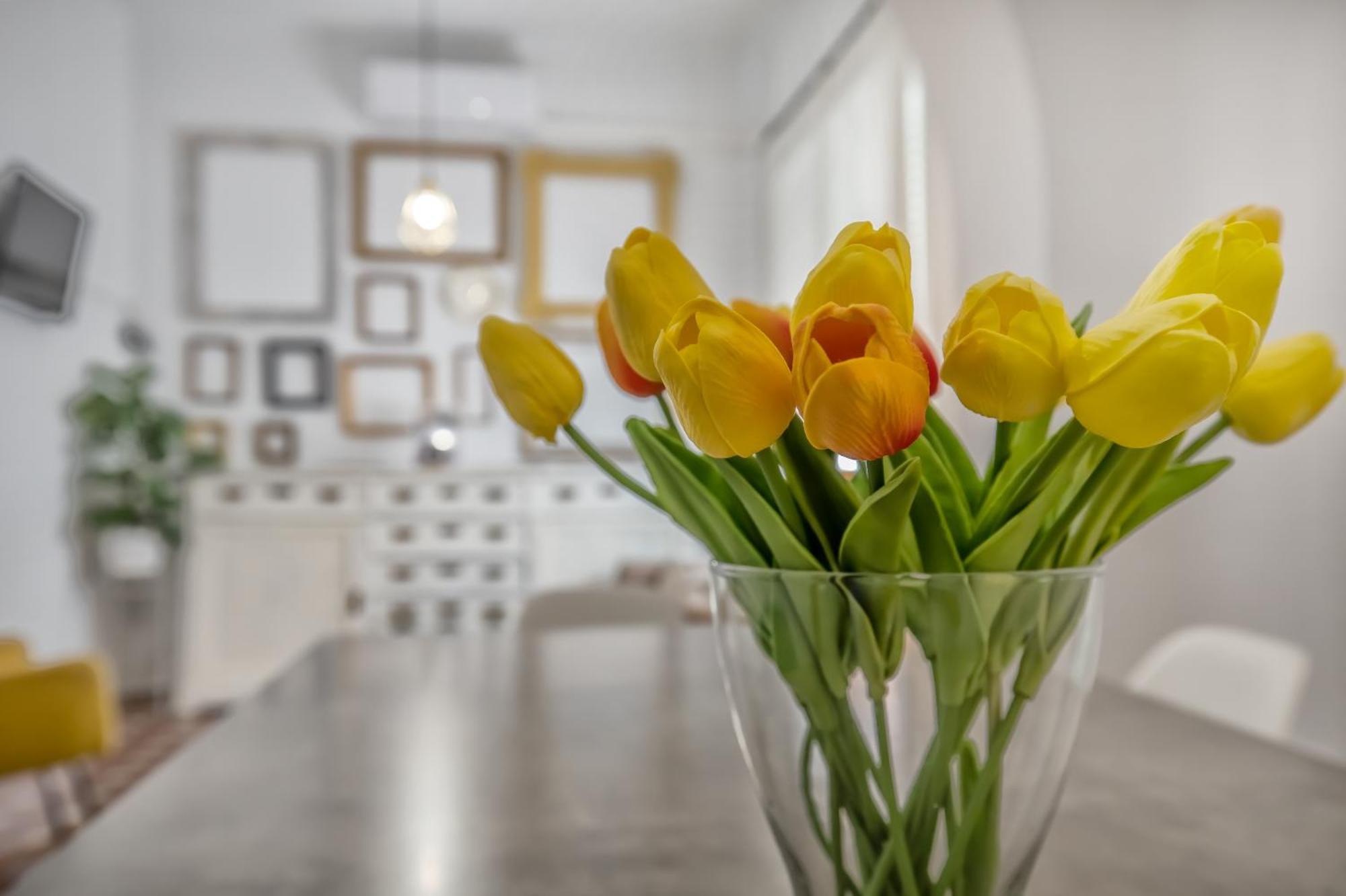 Apartamento Homies Córdoba
