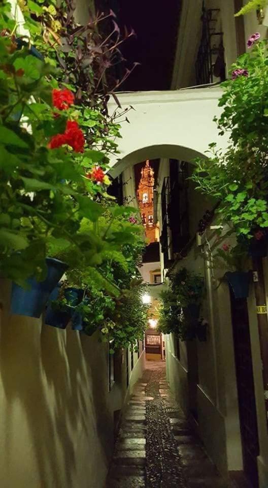 Tu Casa En Facil Aparcamiento * Córdoba