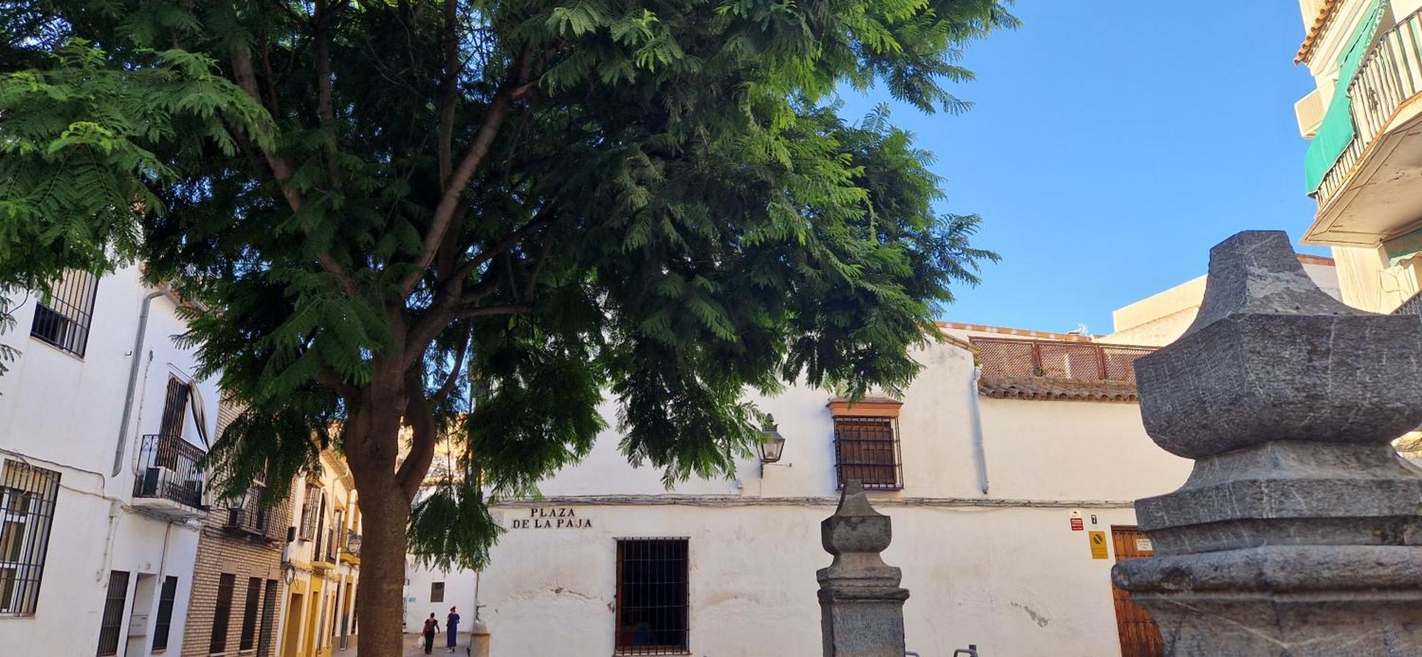 Terraza De La Axerquia Apartamento