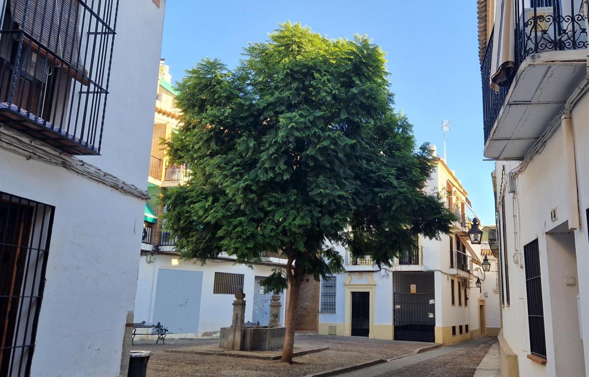 Apartamento Terraza De La Axerquia