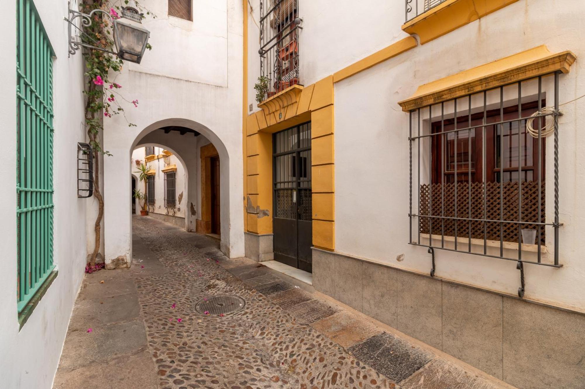 Apartamento Conde Y Luque *