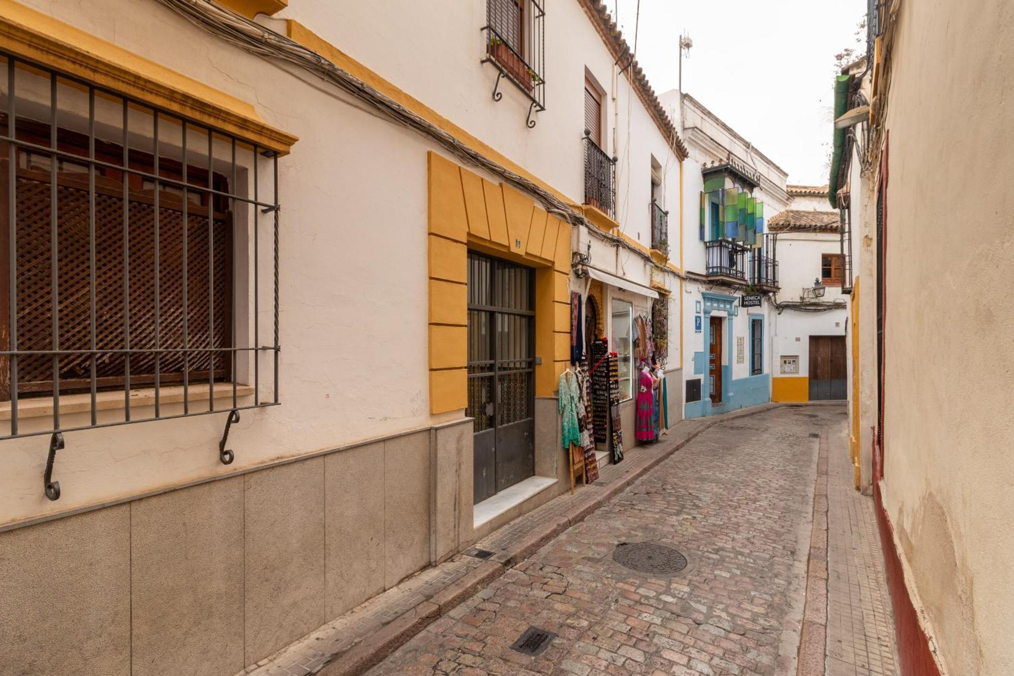 Apartamento Conde Y Luque Córdoba