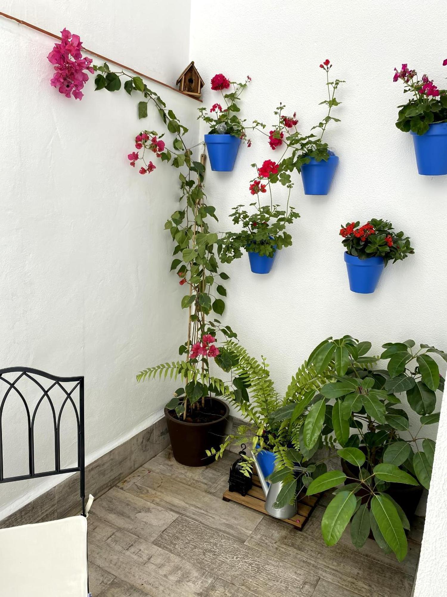 La Almunia De Cordoba, Centro Historico Apartamento Córdoba