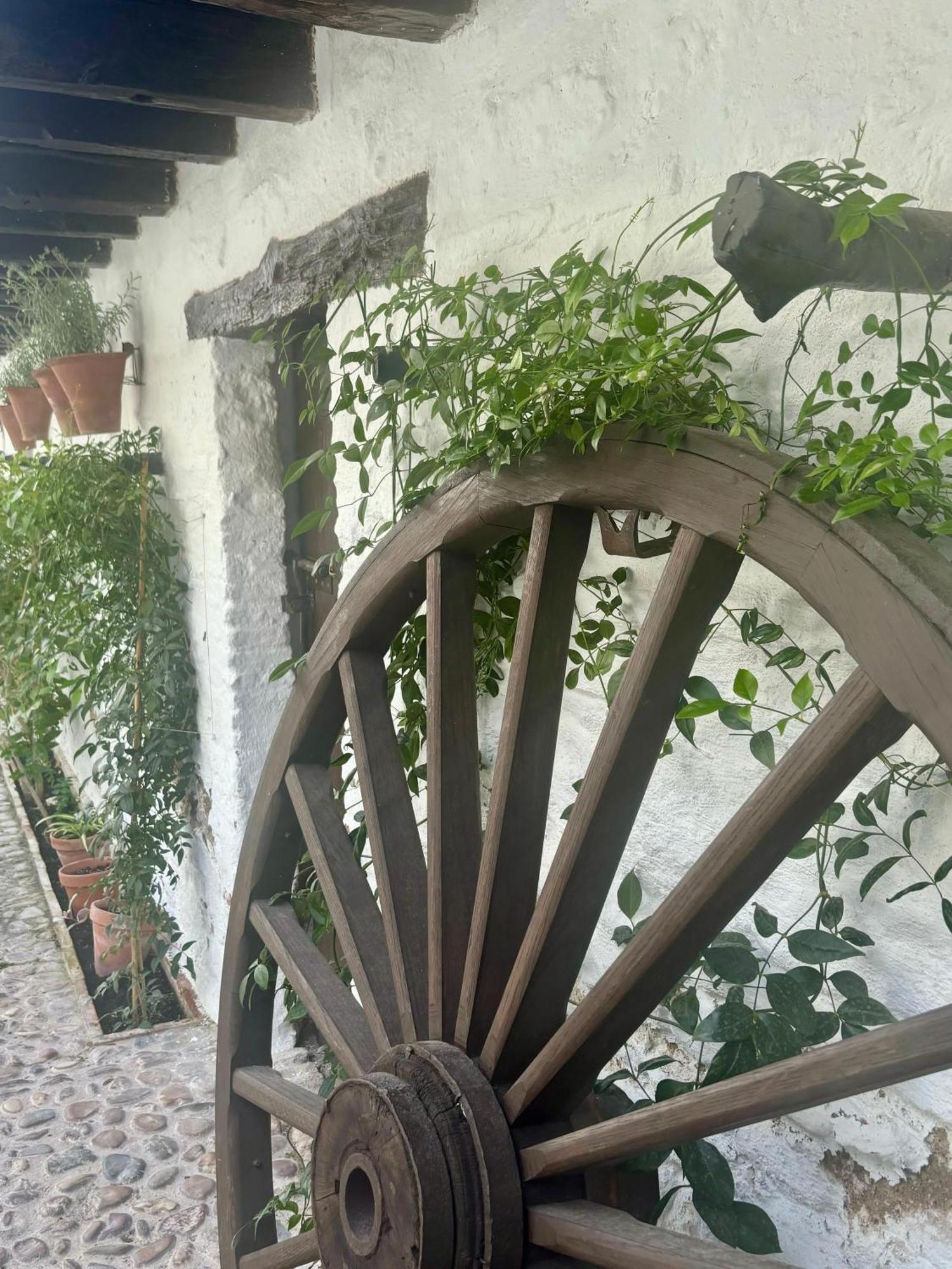 Apartamento La Buganvilla De Santiago Córdoba