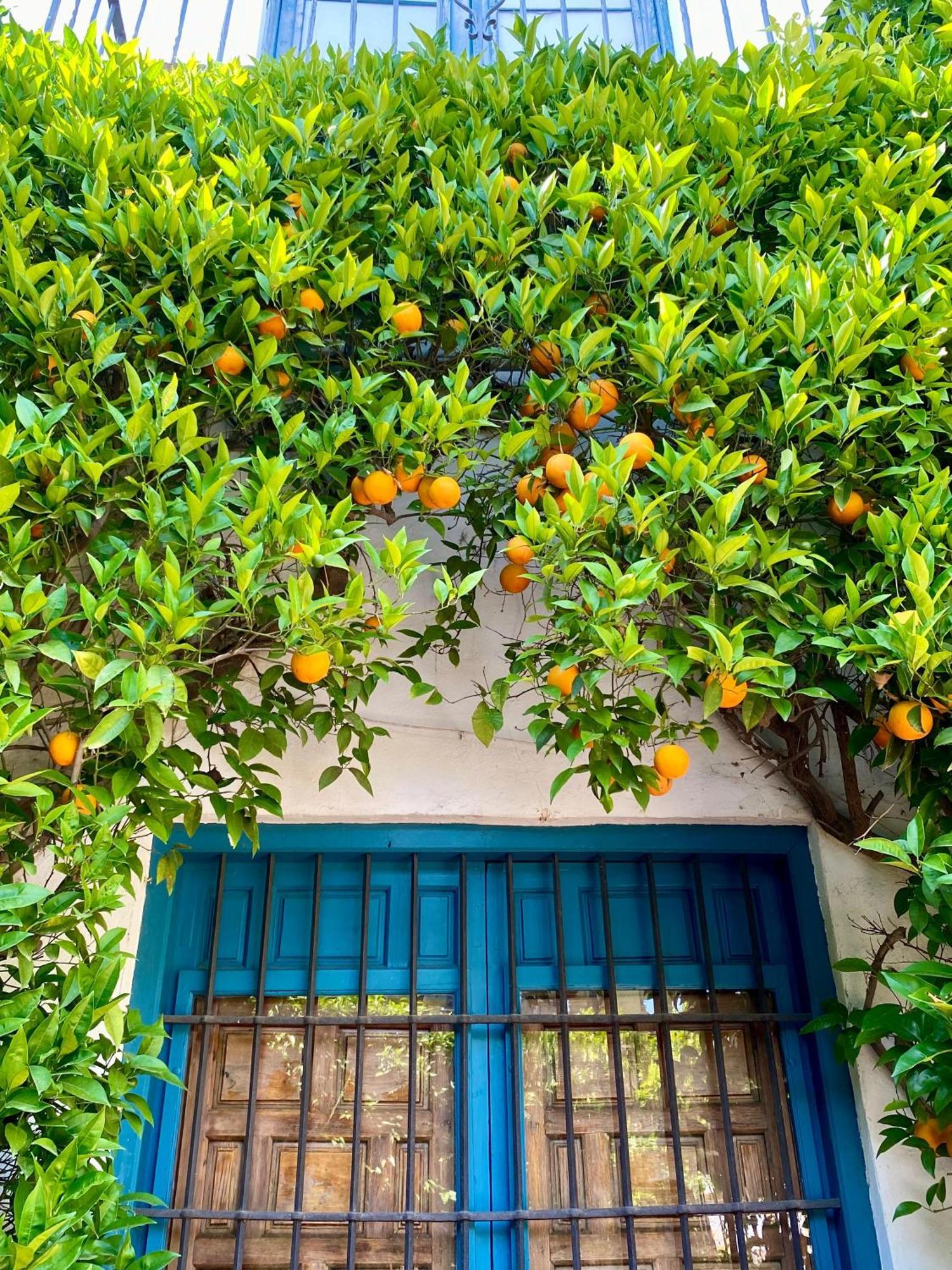 La Buganvilla De Santiago Apartamento