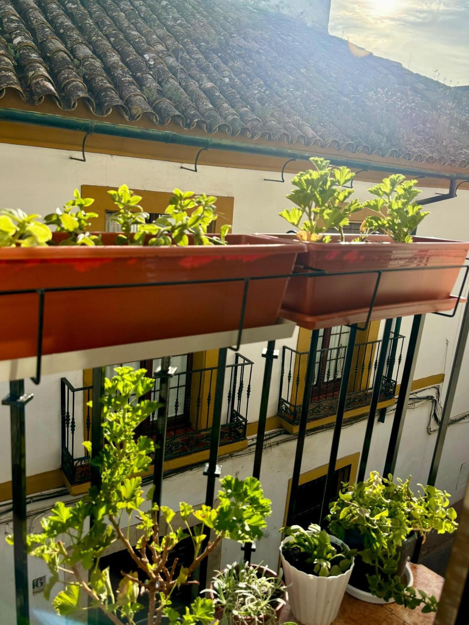 Apartment La Buganvilla De Santiago