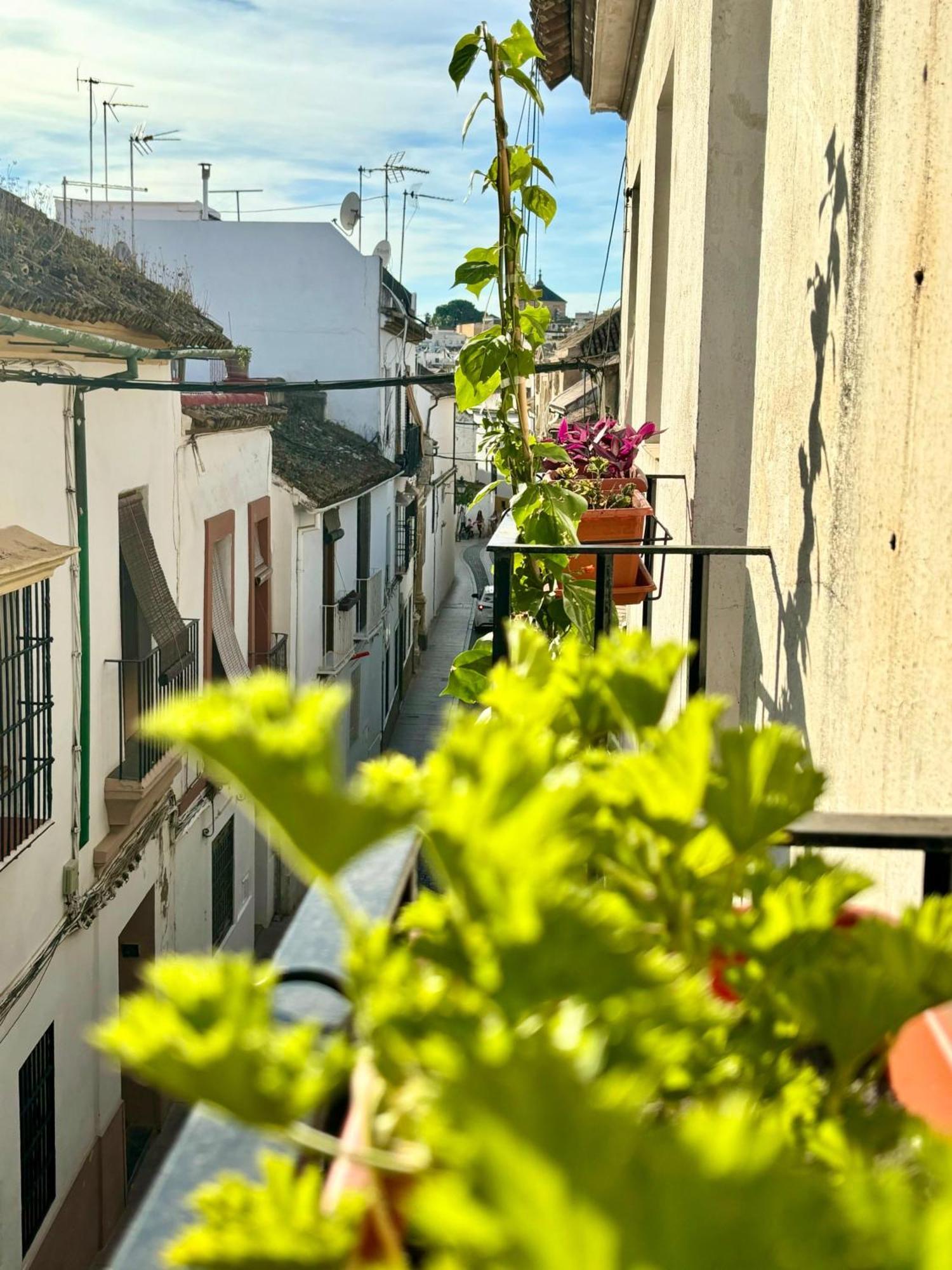 La Buganvilla De Santiago *