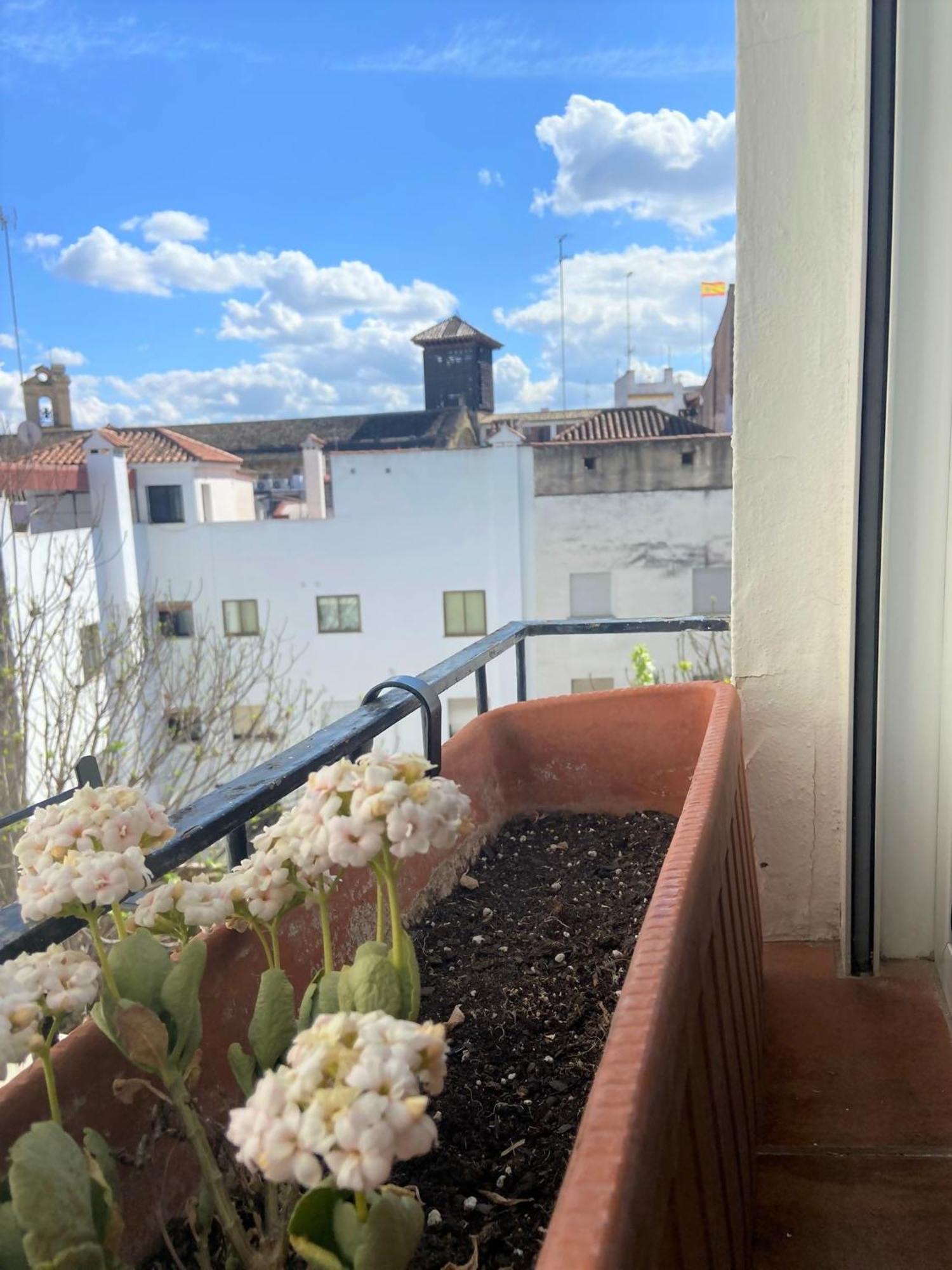 Apartamento En San Pablo
