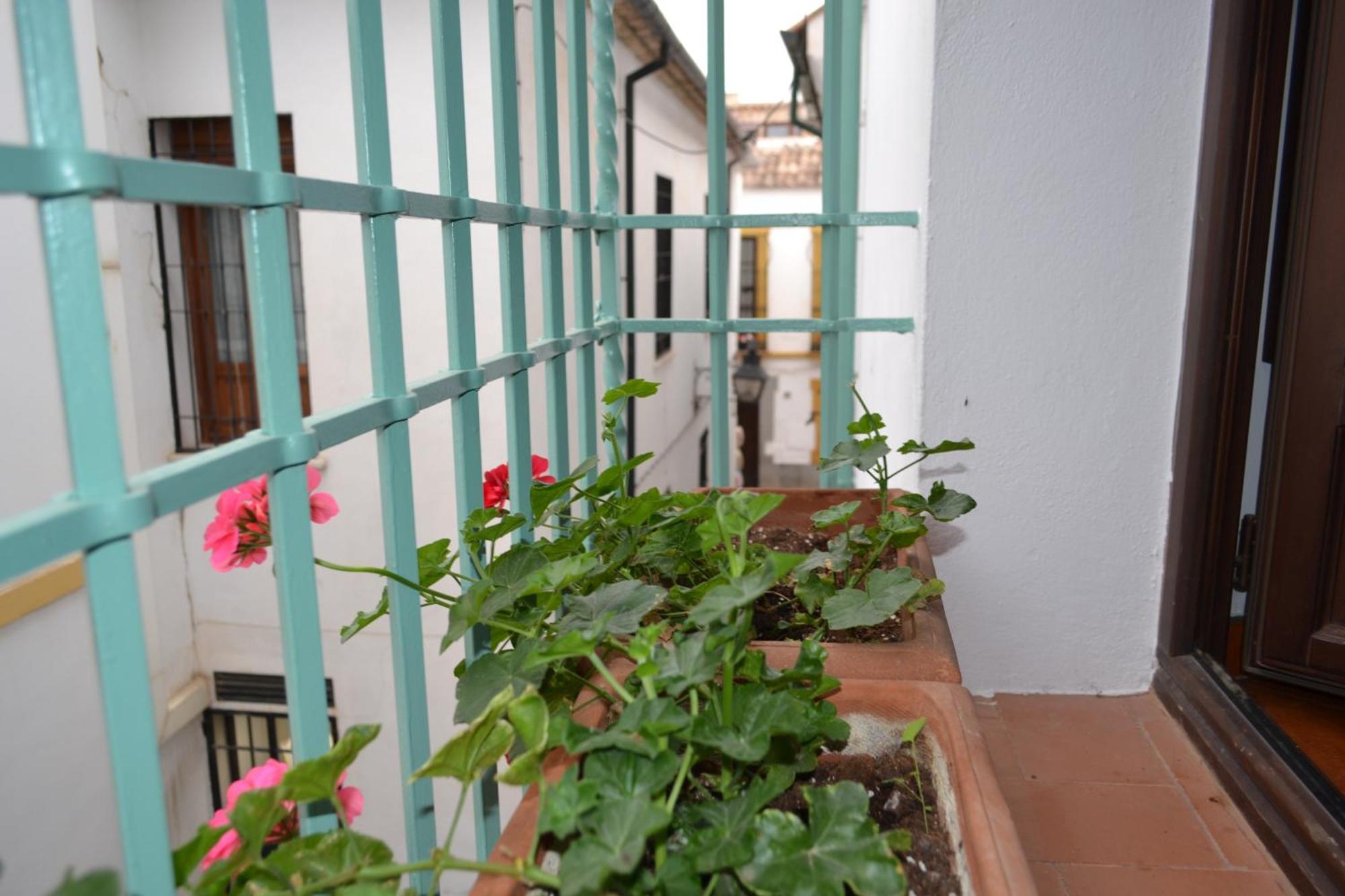 Sunshine Patio De La Hoguera Apartamento Córdoba
