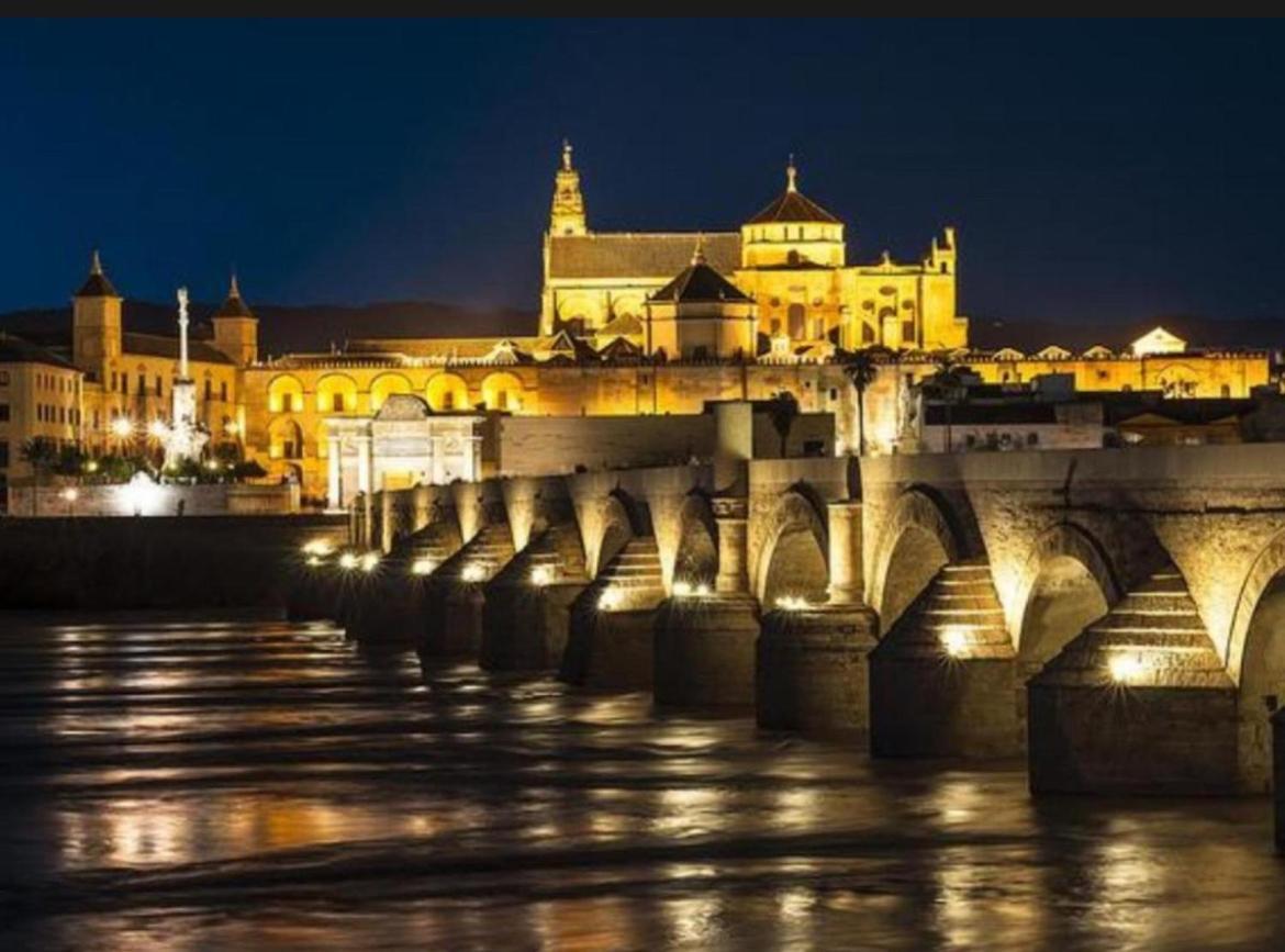 Tinte 8 Córdoba