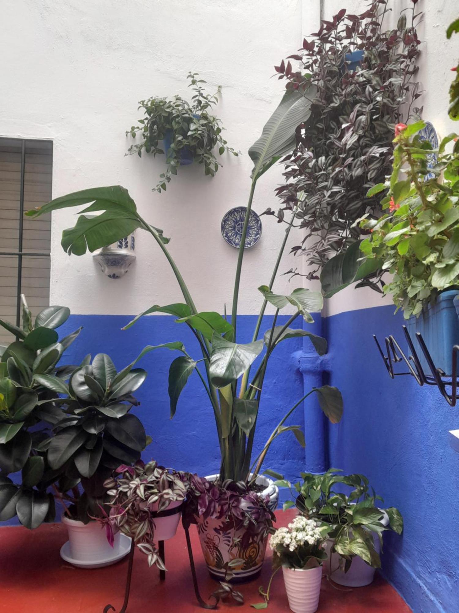 Puerta Sevilla Parking Gratis Apartment