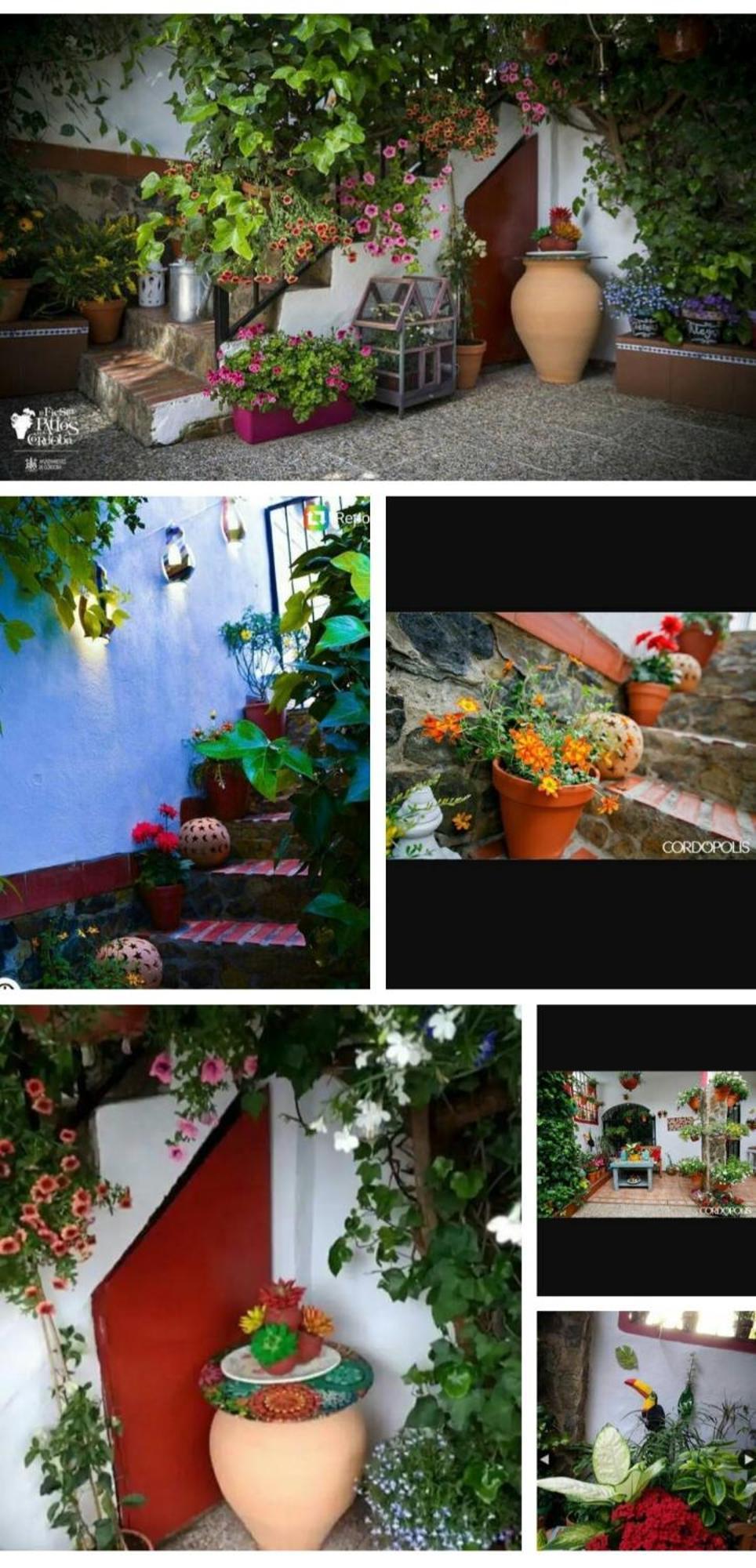 Casa De Sentidos Pensión