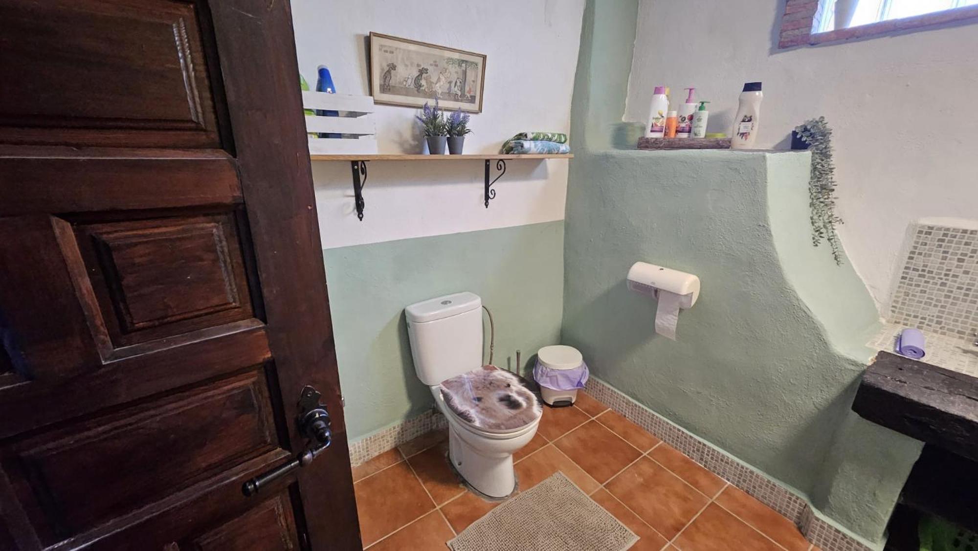 Experience Alpacas In Andalucia Apartamento