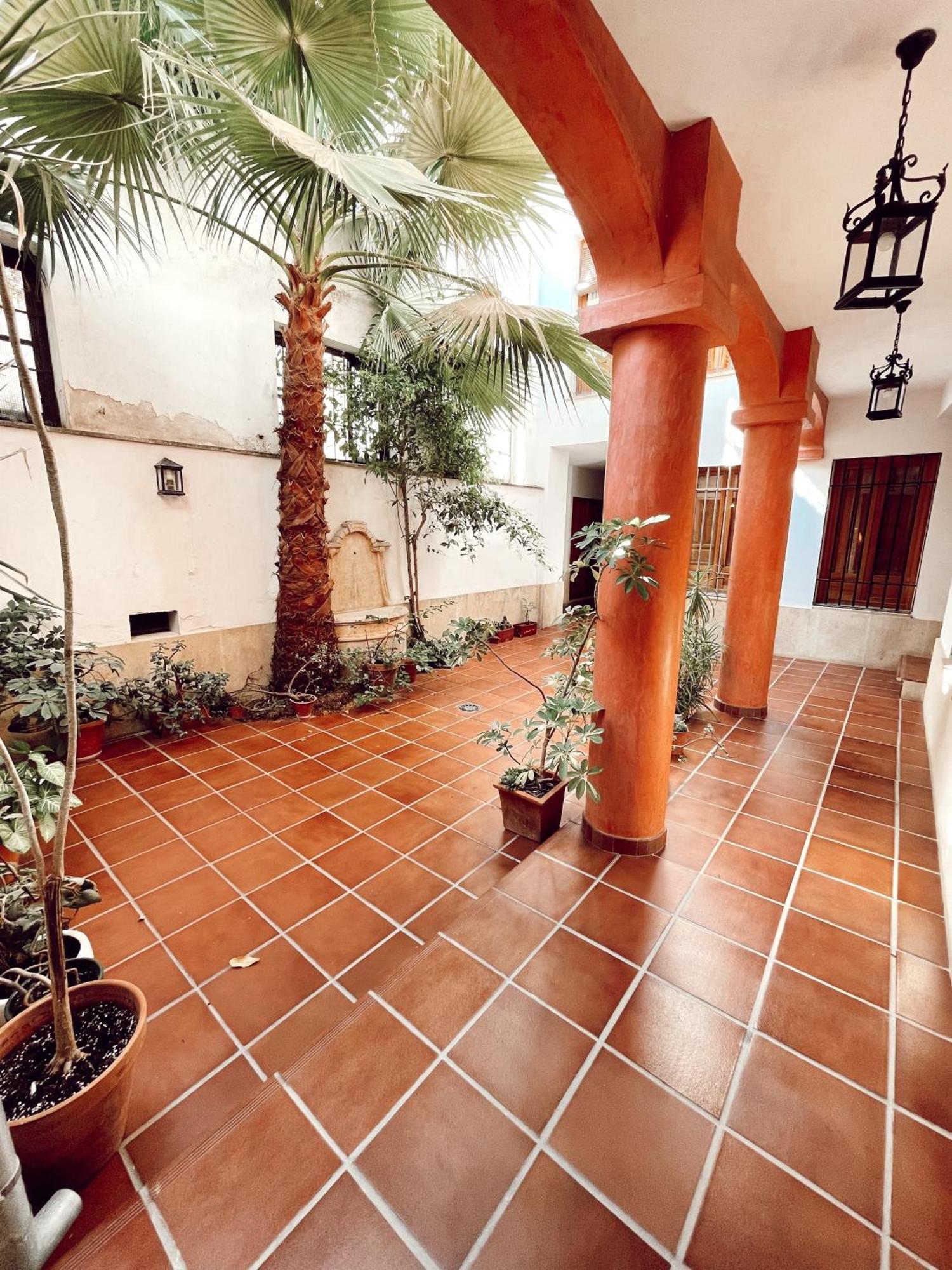 Apartamento Potro 1 *