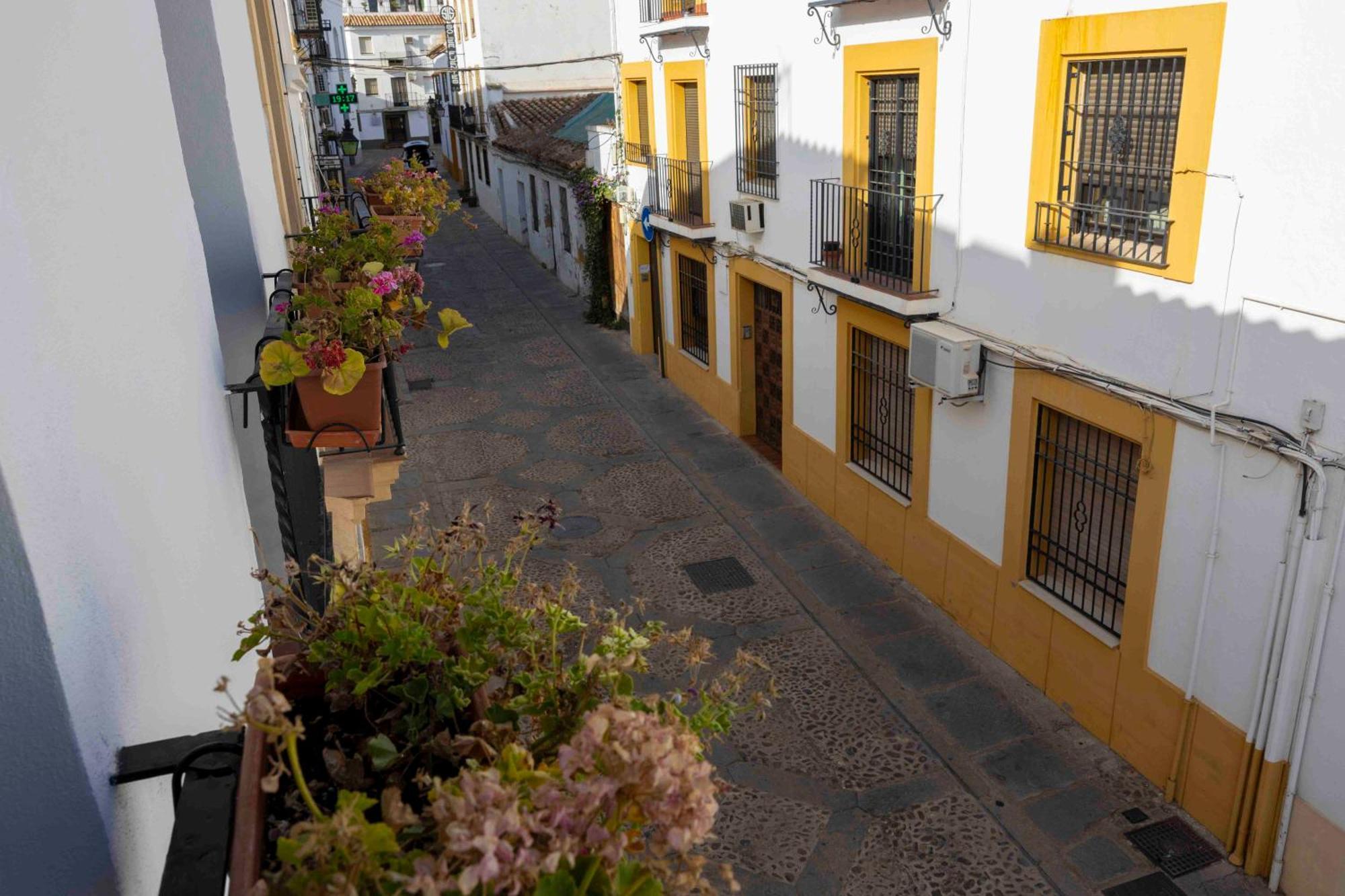 Apartamento Mira San Basilio *