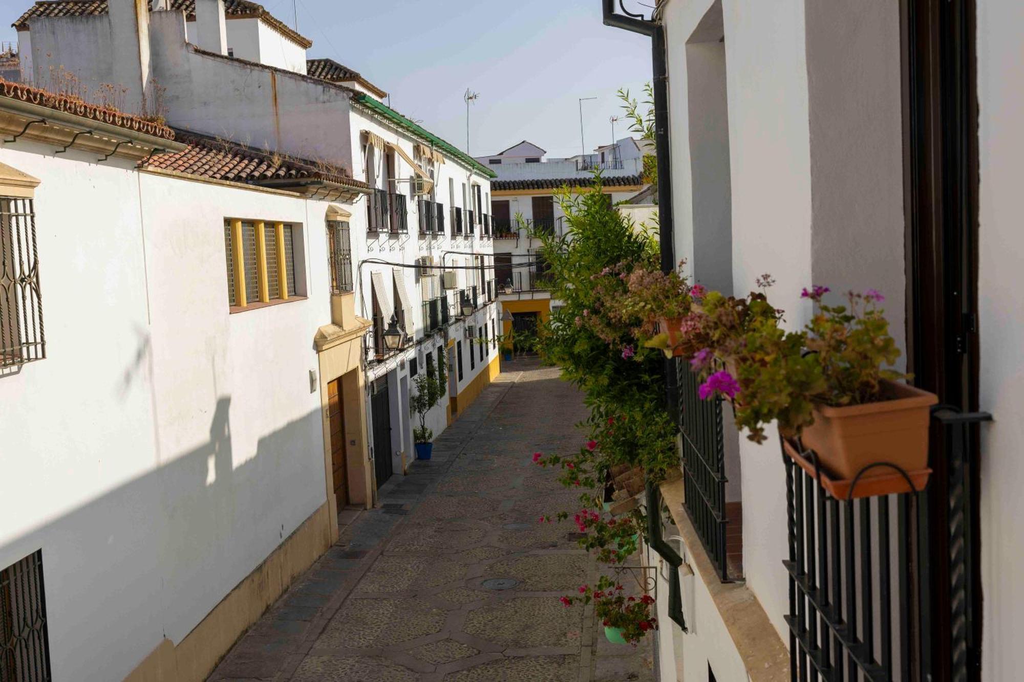 Mira San Basilio Apartamento