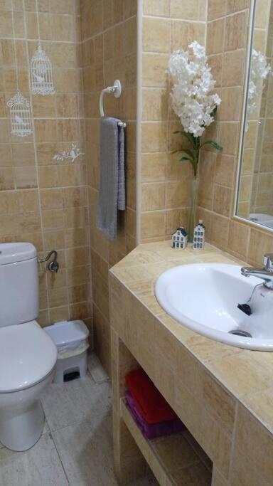 Apartamento Acogedor Jv36 Córdoba