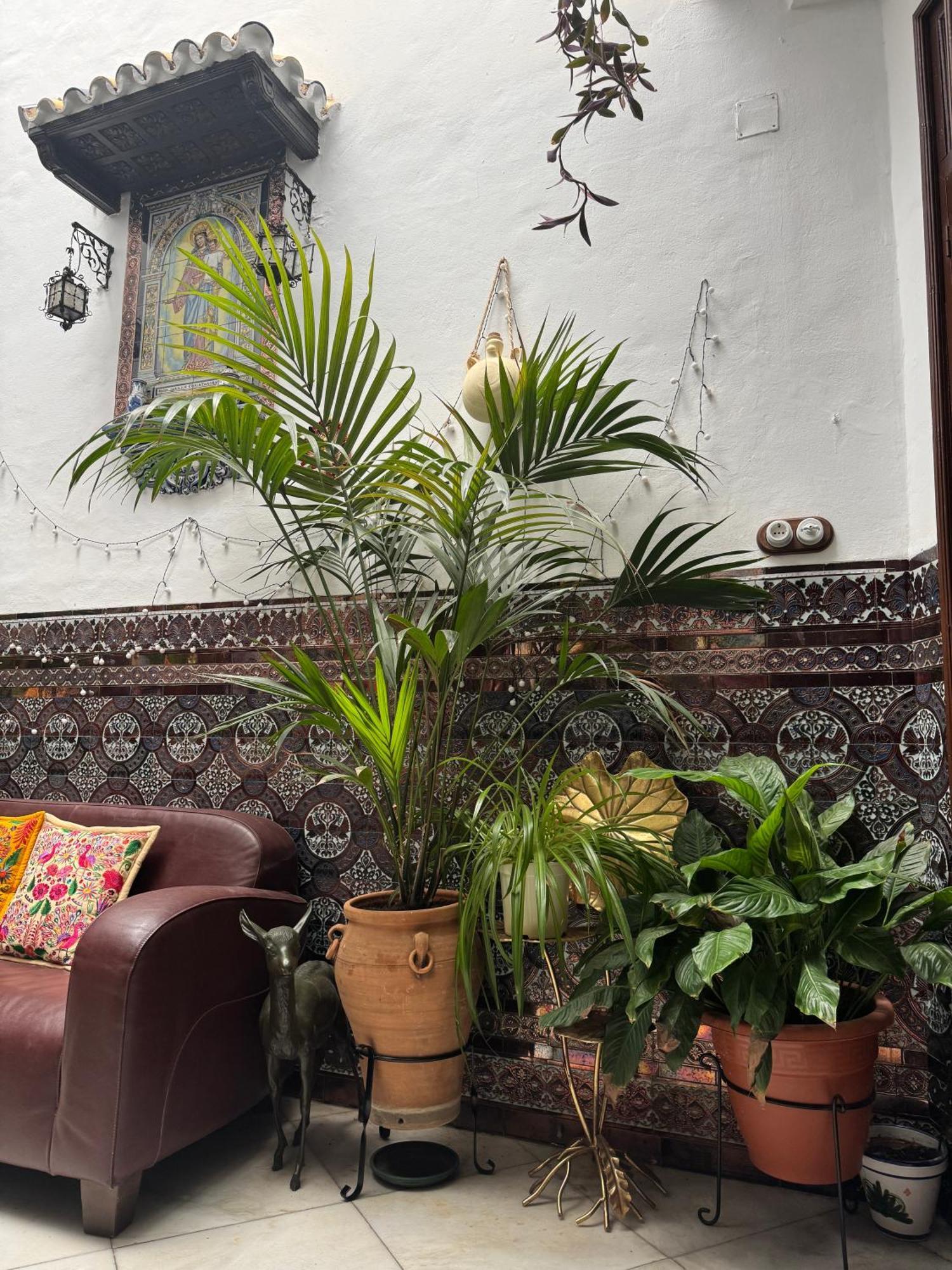 Casa Paliani Сasa de vacaciones