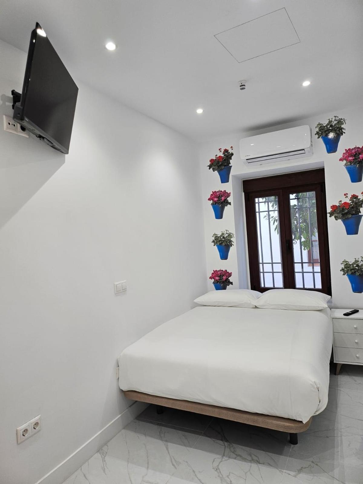 Nueva Cibeles Guest house