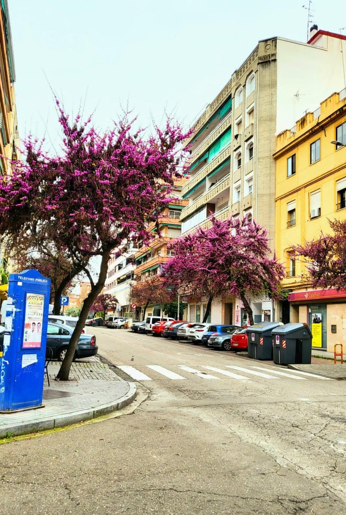 Vintage 2 Córdoba