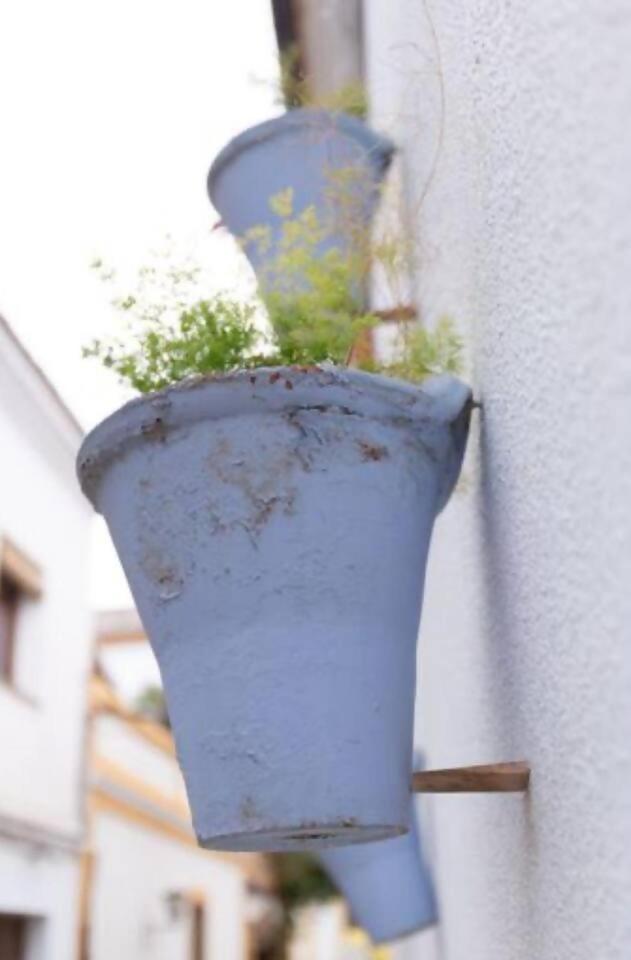 El Embrujo De Apartamento