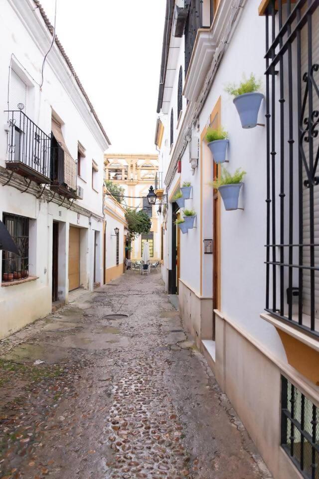 El Embrujo De *