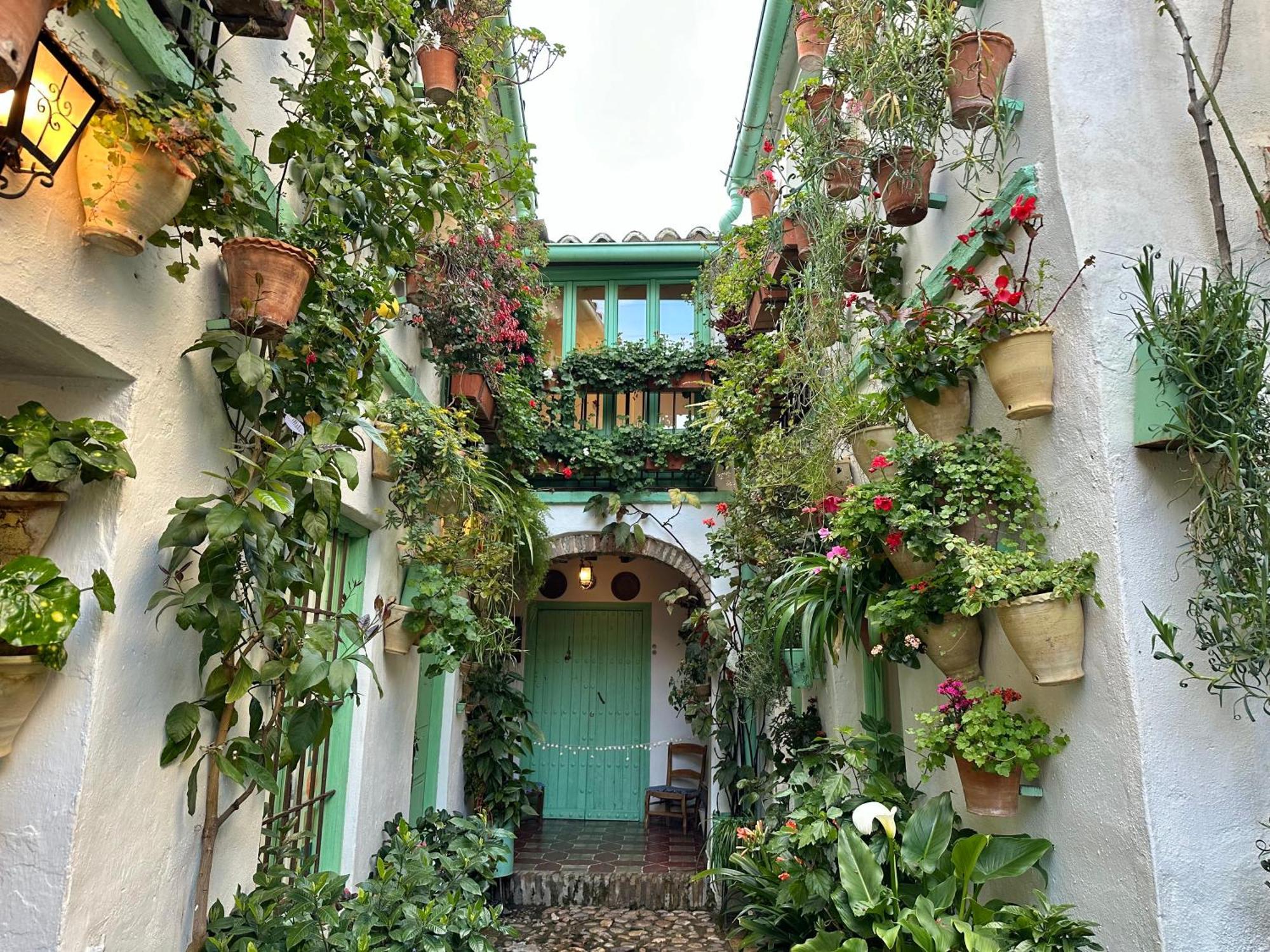 Alcazar San Basilio Cordoba