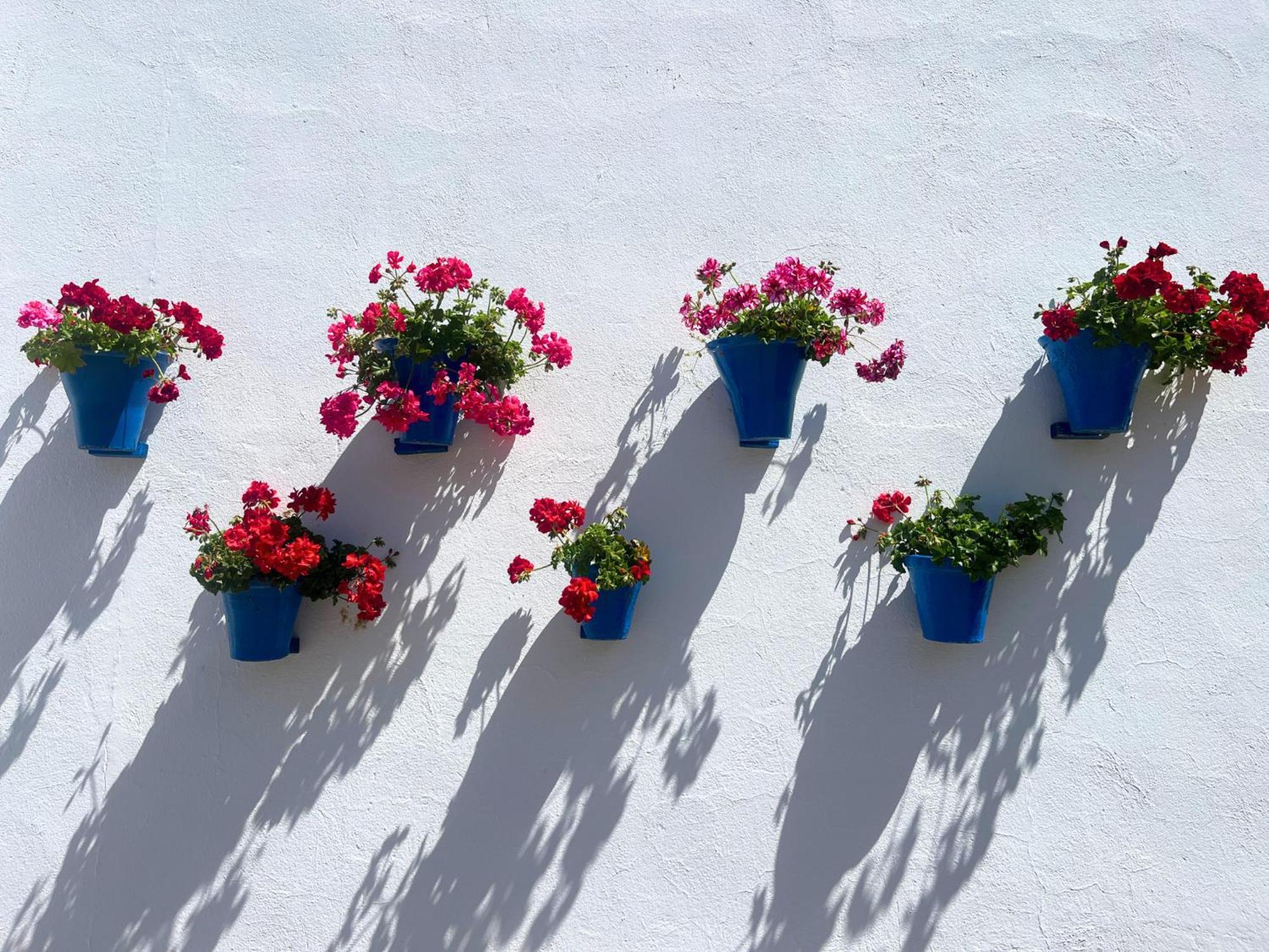 Apartamento La Buganvilla Córdoba