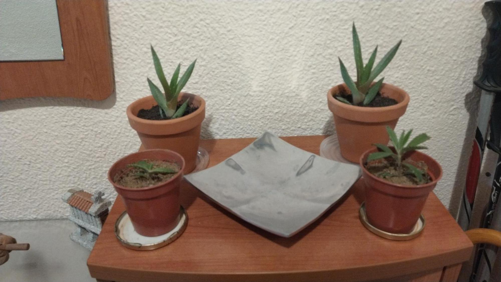 Doble Visitar Habitación en casa particular *
