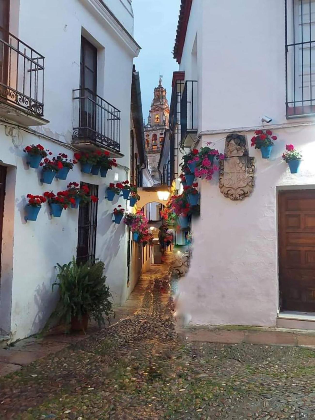 Nieves Viejas Patios Apartment
