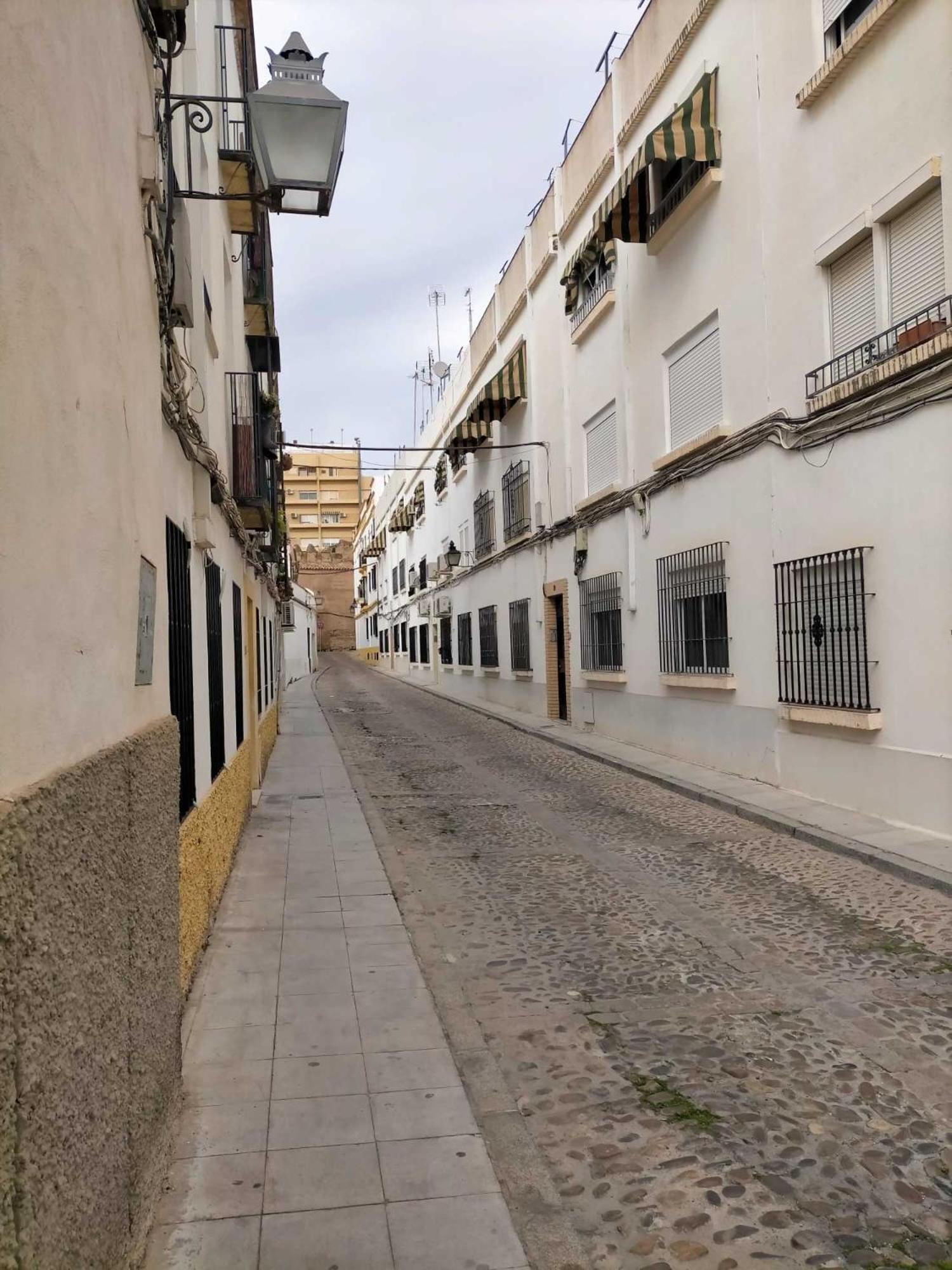 Nieves Viejas Patios * Cordoba