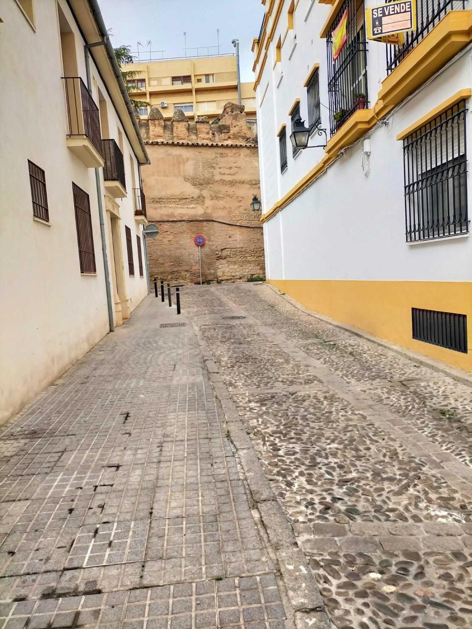Nieves Viejas Patios Apartment
