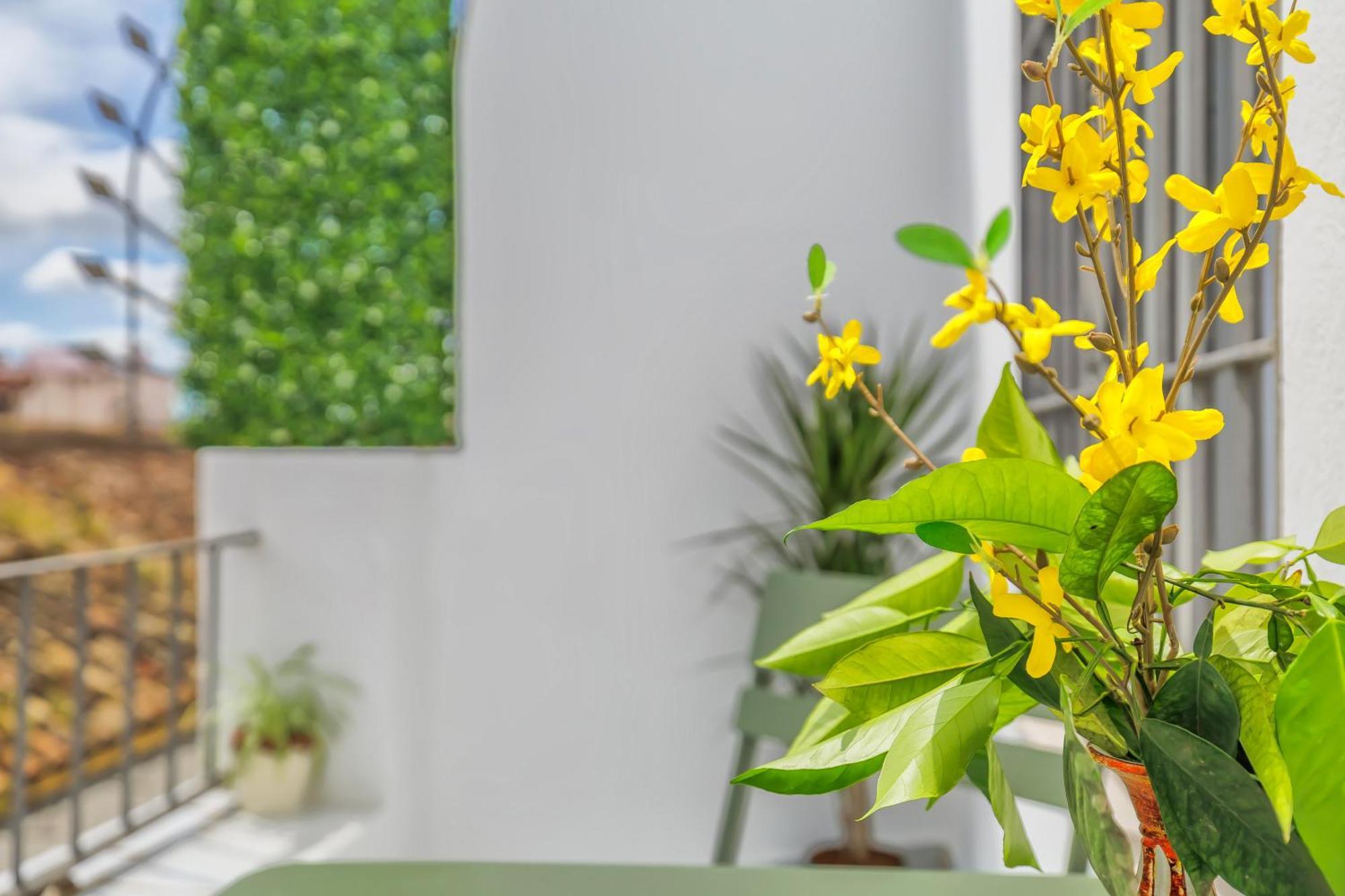 Apartamento Apto Tendillas Centro Terraza - Oliva Suite Córdoba