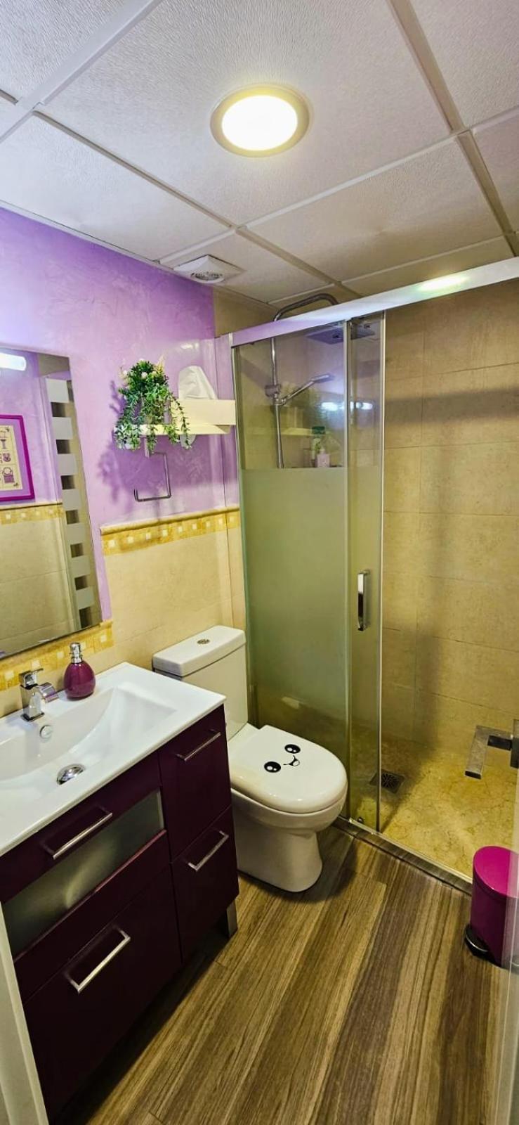 Petit Mansion Juderia Apartamento Córdoba