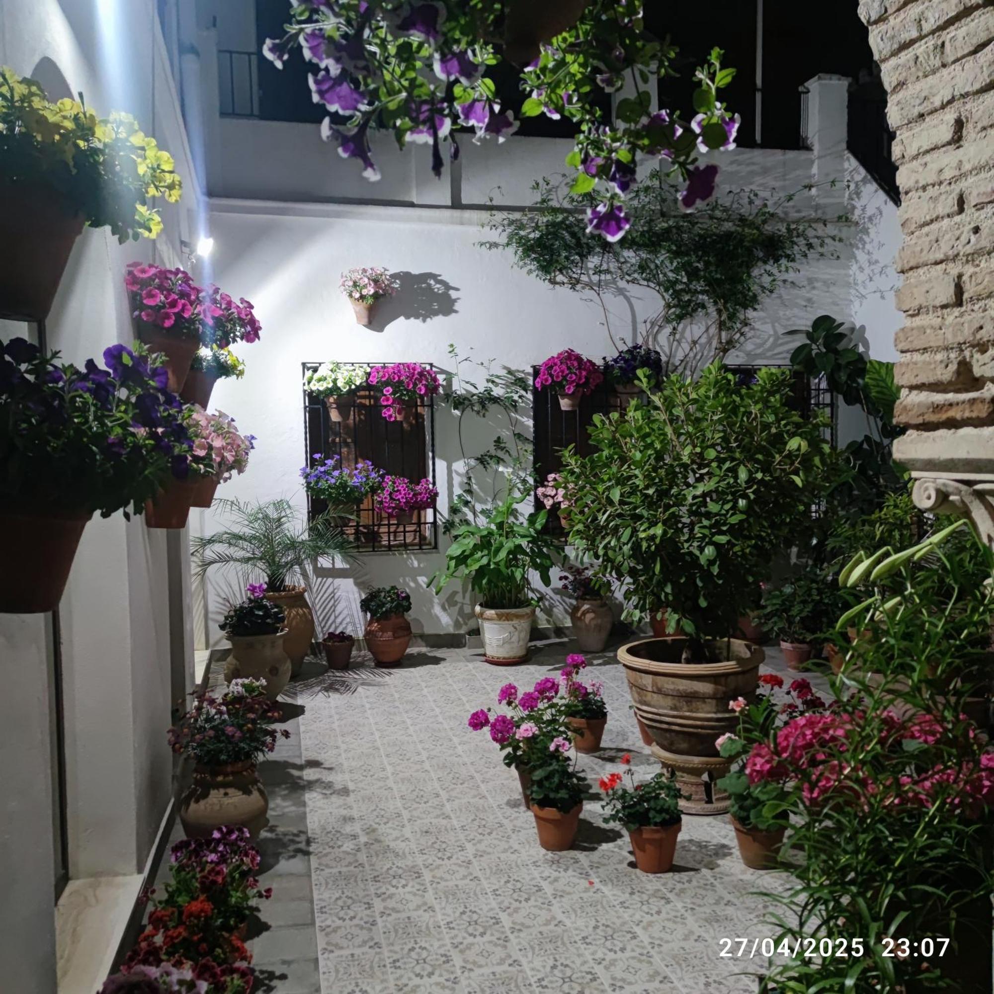 Apartamento El Patio De Regina *