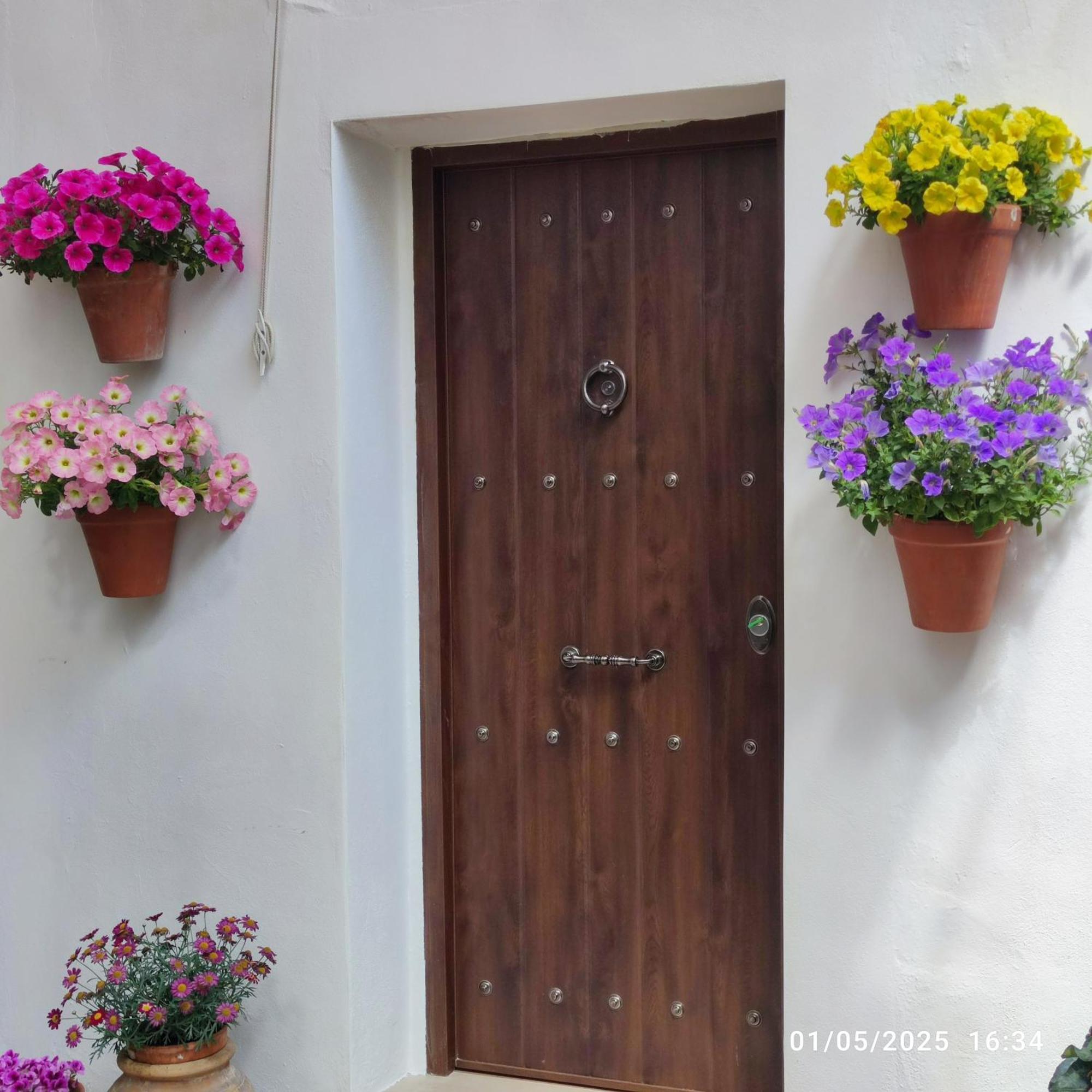 Apartamento El Patio De Regina