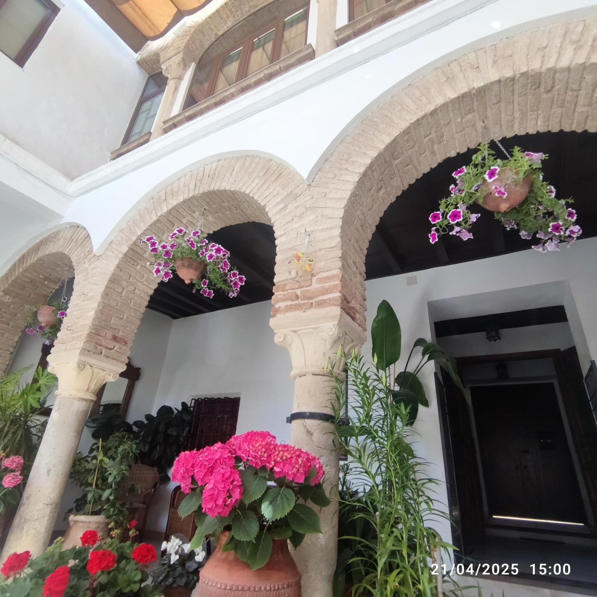 Apartamento El Patio De Regina *
