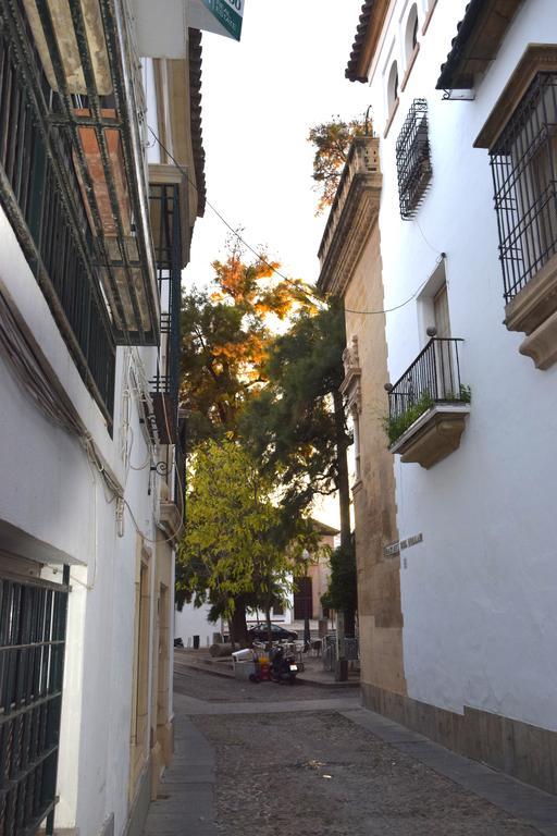 Apartaluz Centro Arqueologico Balcon Apartamento