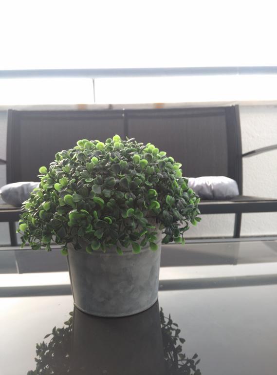 Apartamento ático Centro Avenida Libertad