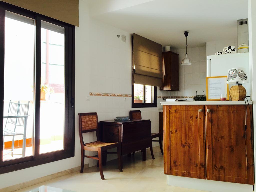 Apartment Penthouse Puerta De La Juderia