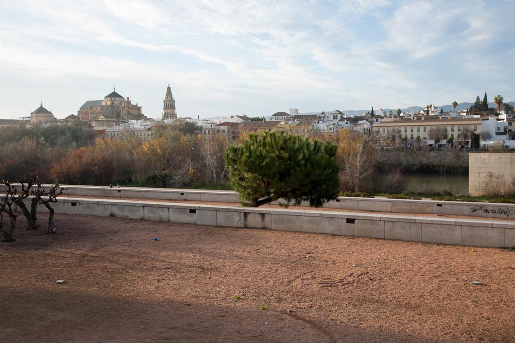 Apartamento Amparo Cinco Córdoba