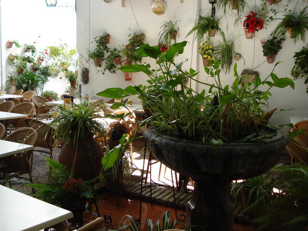 Hotel Patios *