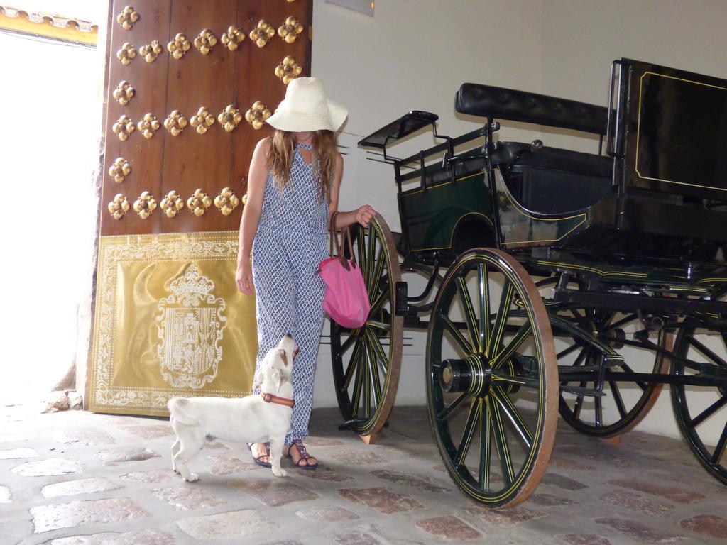 Hotel Casas De La Juderia De