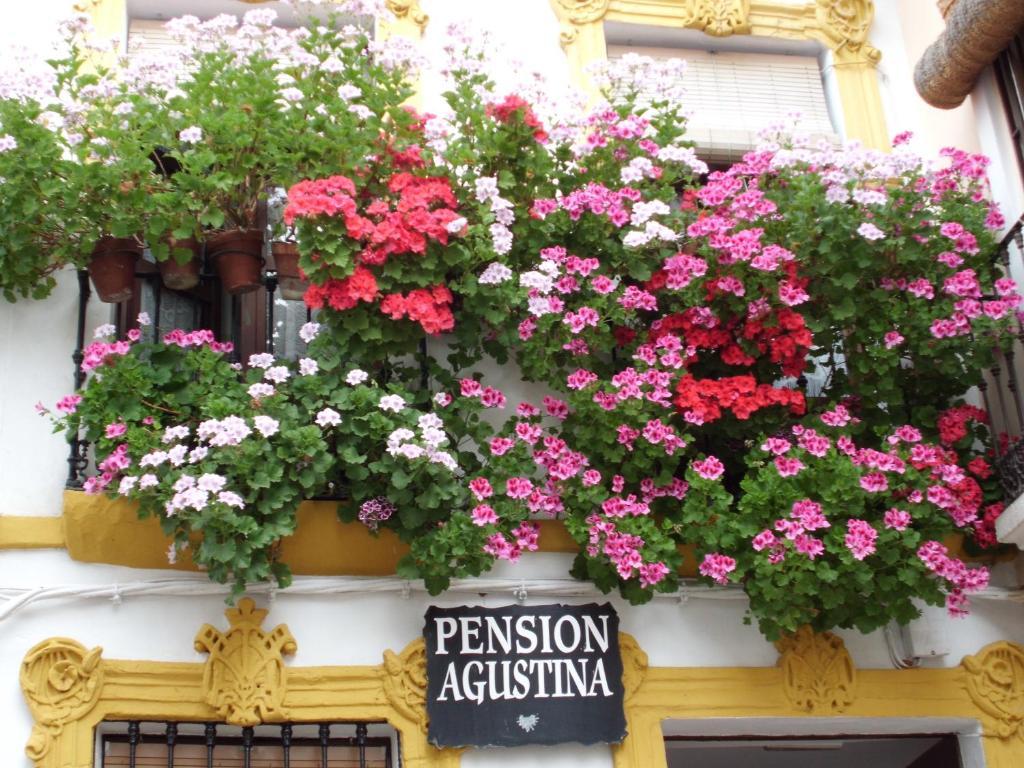 Agustina Pensión *