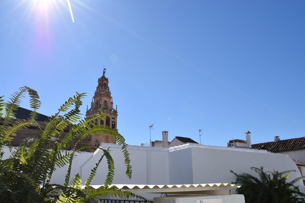 Cespedescinco Córdoba