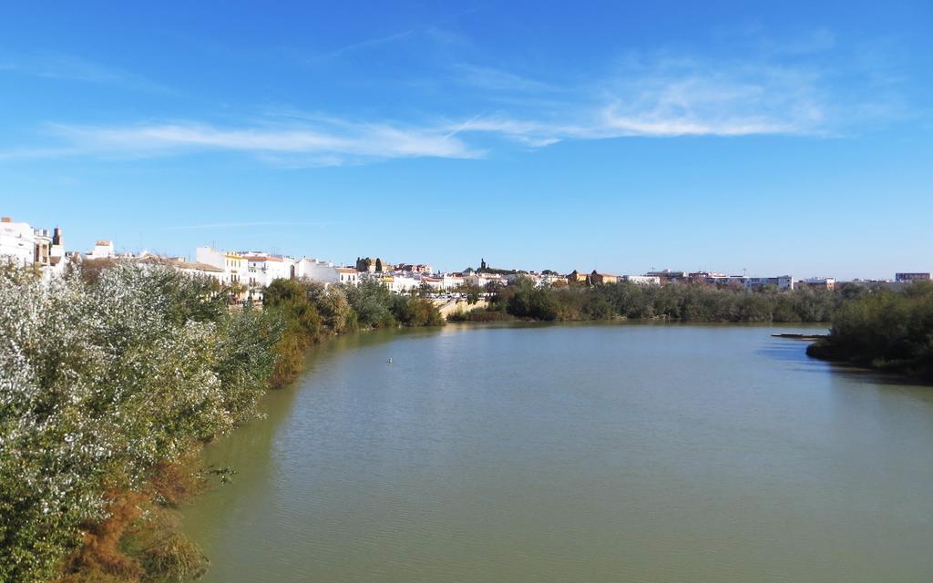 Plaza Cordoba