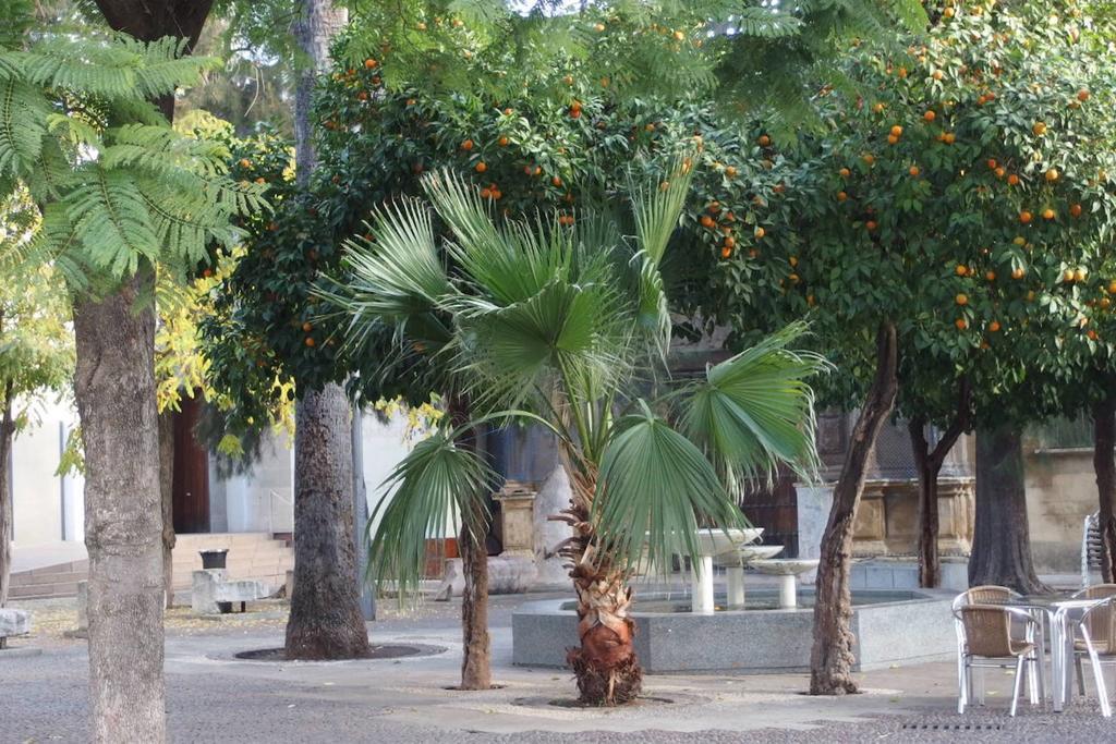 Apartaluz Centro Arqueologico Balcon * Córdoba