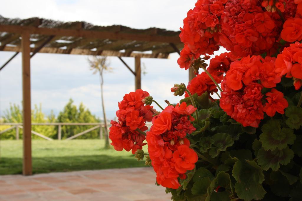 Atalaya De La Campina Hotel Cordoba