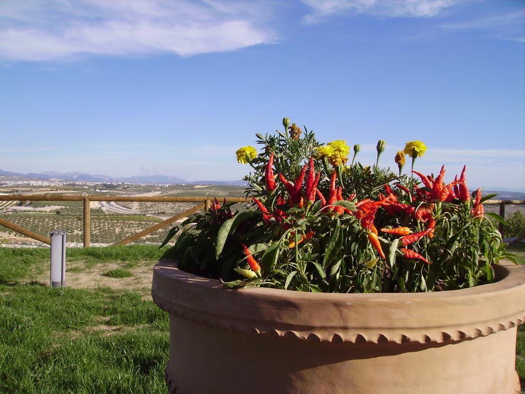 Hotel Atalaya De La Campina 3*