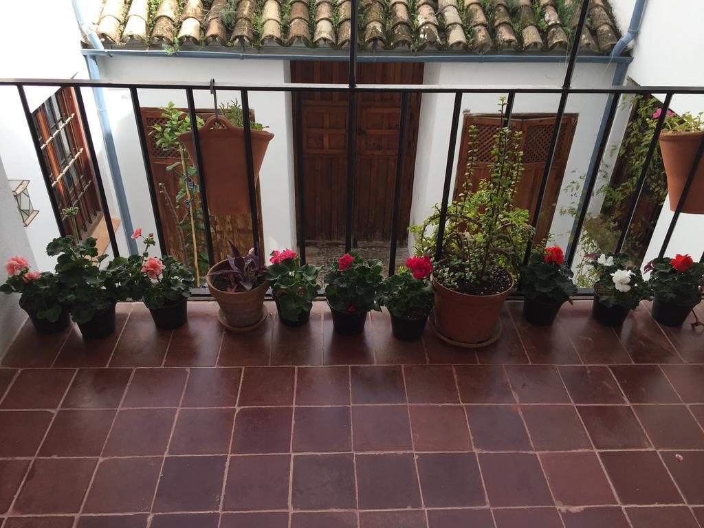 Duplex Juderia *